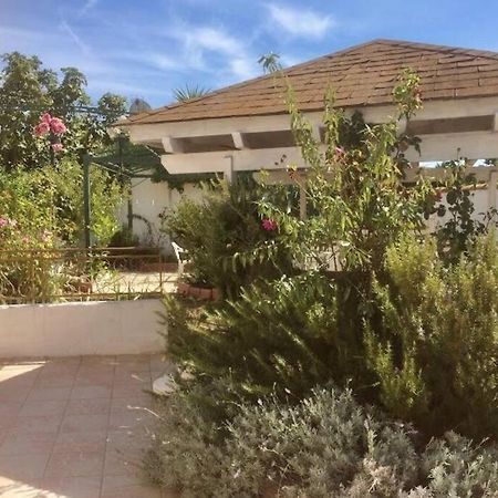 Superbe Appartement En Residence Avec Patio Вильнев-ле-Магелон Экстерьер фото
