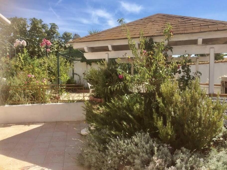Superbe Appartement En Residence Avec Patio Вильнев-ле-Магелон Экстерьер фото